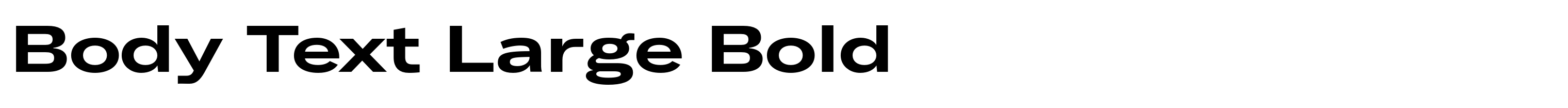 Body Text Large Bold